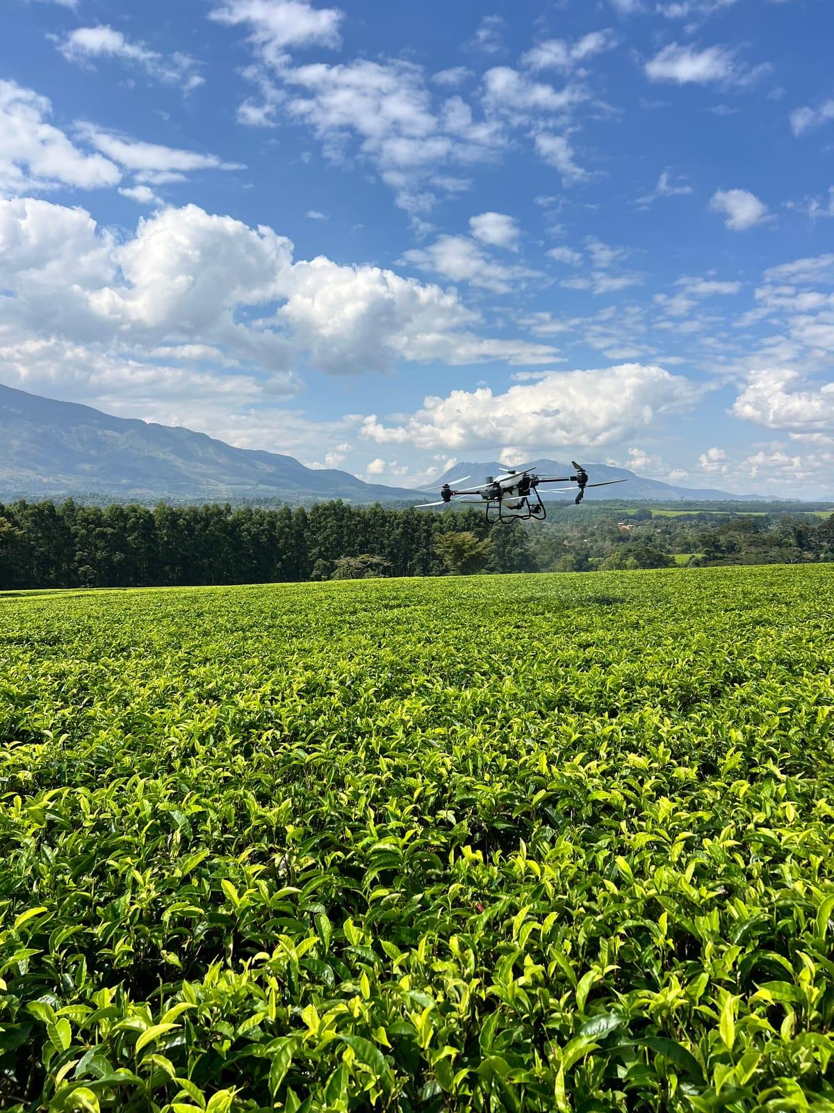 Serafin agricultural drone flying over a tea estate