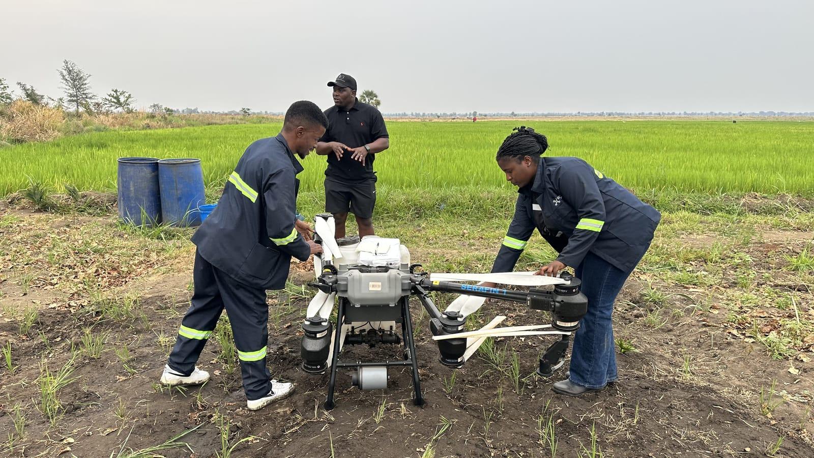 Serafin crew preparing a spray drone beside rice fields in Salima